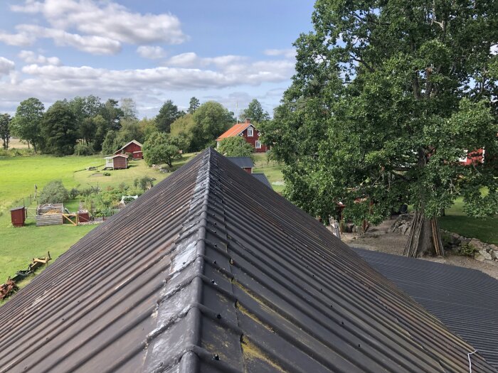 Vy från ett tak på en byggnad i en lantlig miljö med gröna träd, trädgård, åkrar och röda hus i bakgrunden.