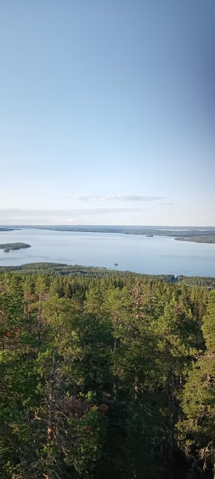 Utsikt över en stor sjö med skog i förgrunden och små skogsklädda öar i sjön under en klarblå himmel.