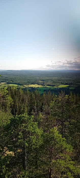 Vy från en kulle med tät skog i förgrunden och gröna fält, skogsområden samt ett kuperat landskap under en klar dag i bakgrunden.