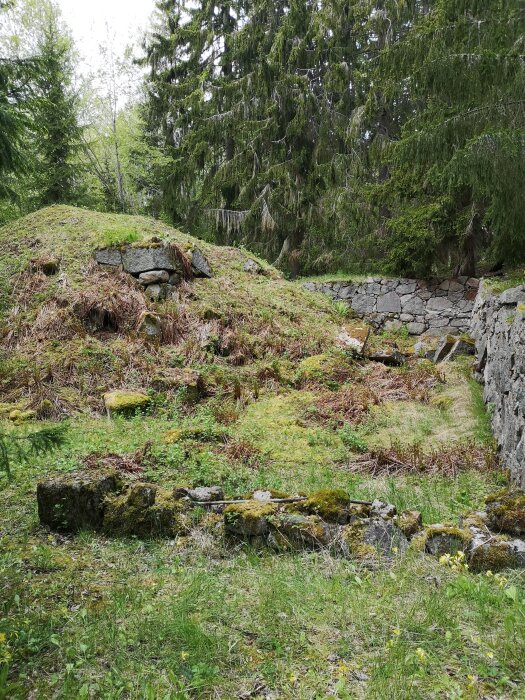 Stenröse och gamla stensatta väggar i en skog omgivna av grönska och träd.