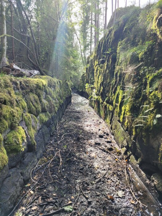 Stensatt bäck/kanal i skogsområde, omgiven av mossbeklädda stenblock och vegetation. Solsken strålar in mellan träden ovanför.