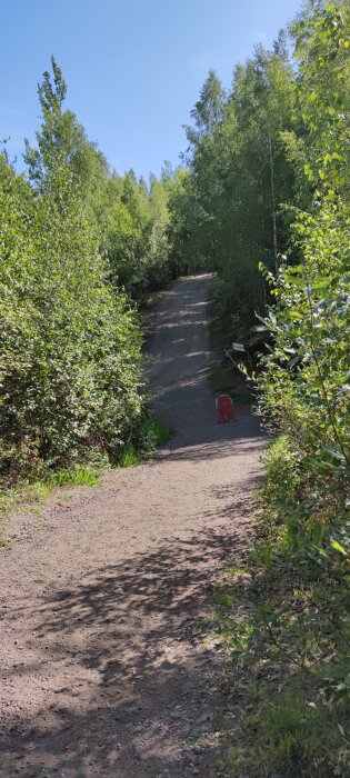 En grusväg omgiven av tät skog leder uppför en kulle. Det finns en orange väghinder och en liten skylt på höger sida.