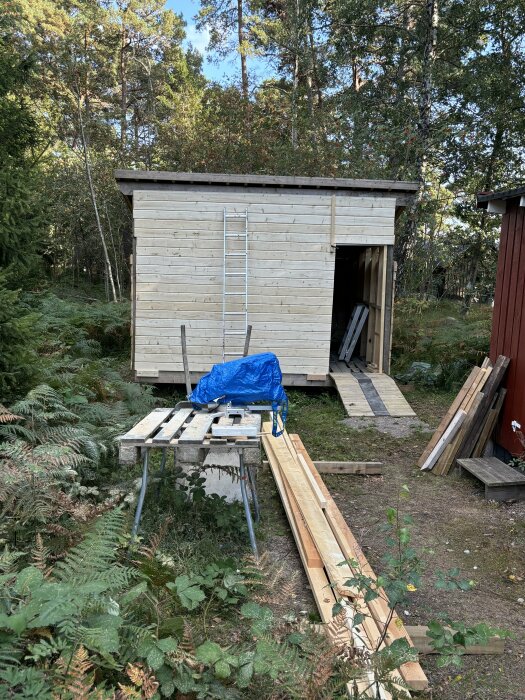 Pågående bygge med träpanel, stege lutad mot väggen och byggmaterial på marken bredvid. Marker omgiven av skog och gröna växter.