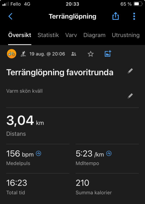 Skärmbild av en träningsapp som visar detaljer för terränglöpning: 3,04 km distans, 16:23 total tid, 156 bpm medelpuls, 5:23 min/km medeltempo och 210 förbrukade kalorier.