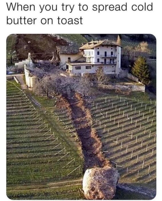 En stor sten har rullat genom en vingård och förstört vinrankor på sin väg mot ett hus, med texten "When you try to spread cold butter on toast".