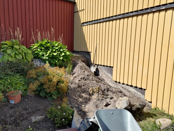 Nydränerad slänt med exponerad grund vid gul träfasad, delvis murken och skadad. Röda rabatter och grönska till vänster om huset.