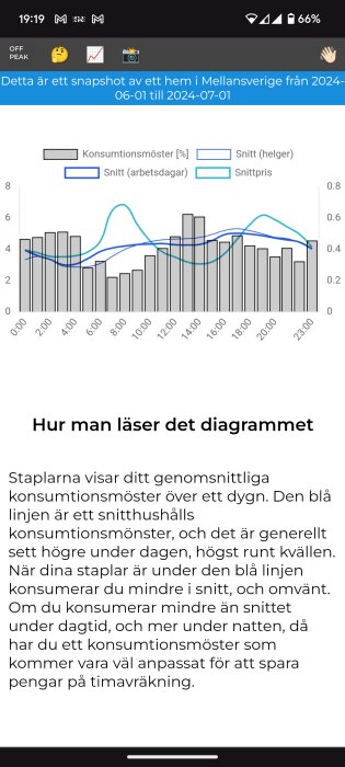 Diagram som visar konsumtionsmönster över ett dygn med staplar och linjer för snitt på arbetsdagar, helger och snittpris, samt instruktioner för hur man läser diagrammet.