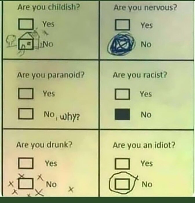 En checklista med frågor: Är du barnslig? Är du nervös? Är du paranoid? Är du rasist? Är du full? Är du en idiot? Med svar som inkluderar ja, nej, och olika teckningar.