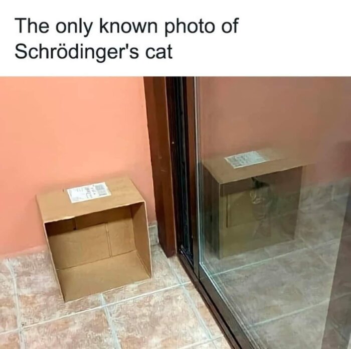 En tom kartong placeras bredvid en glasskiva för att skapa en illusion av att det finns ytterligare en kartong bredvid, med texten "The only known photo of Schrödinger's cat".