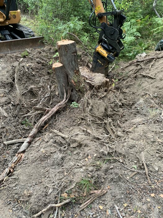 Grävmaskinens gripklo används för att ta bort stubbar och rötter i jordig terräng med mycket kvistar och rötter, omgivet av grön vegetation.