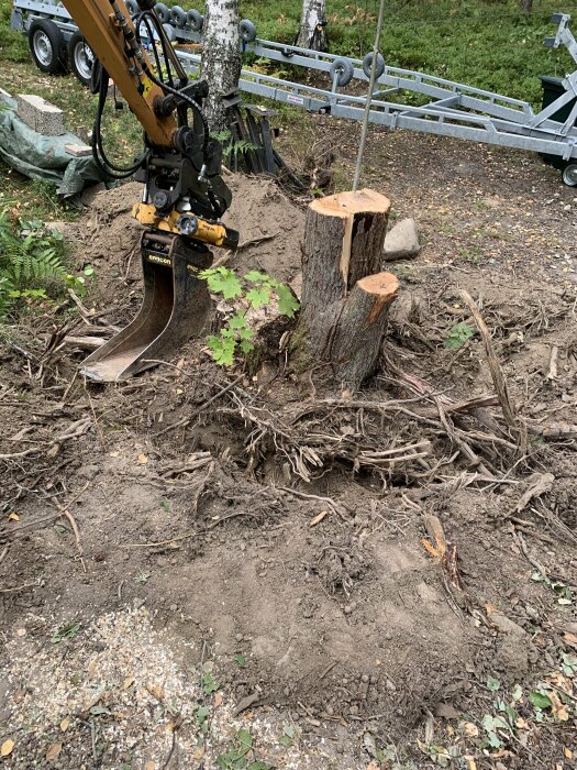 Bilden visar en grävmaskin som används för att ta bort stubbar och rötter från marken, omgiven av jord och vegetation, med en metallvagn i bakgrunden.