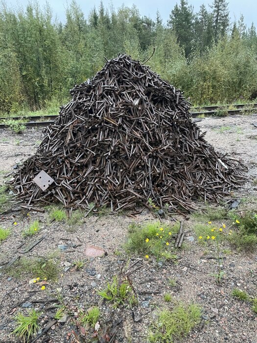 Hög med gamla rostiga järnvägsspikar på en grusig markyta med vegetation i bakgrunden.