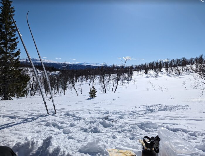 Utsikt över snöklädda träd och skidspår med två skidor stående i snön, klar blå himmel och fjäll i bakgrunden. Plastpåse och termos syns i förgrunden.