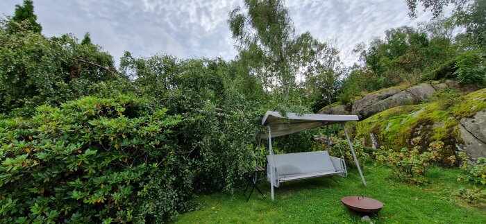 Fallen björk på bakgård bredvid vit gungsoffa som står under ett tak. Träd, gräs och mossbeklädda stenar i bakgrunden.