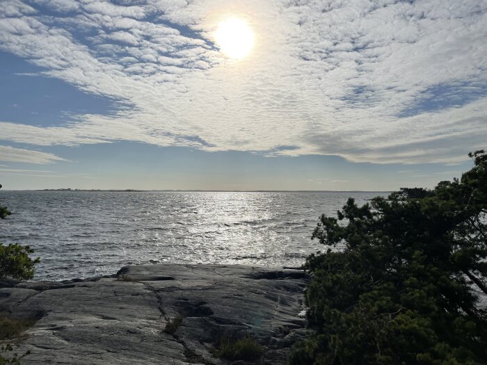 En solbelyst kustlinje med steniga klippor, träd och ett blåsigt hav under en molnig himmel.