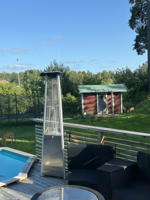 Uteplats med gasolvärmare, svart rottingmöbler, pool och grön gräsmatta samt ett rött trädgårdsskjul i bakgrunden. Flera rådjur betar i trädgården.