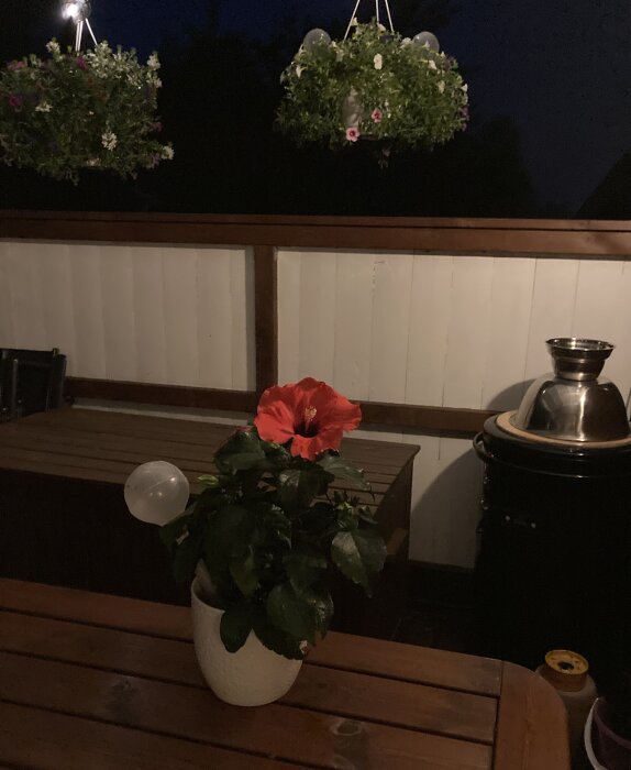 En rosa hibiskusblomma i en vit kruka står på ett bord utomhus, omgiven av trämöbler och hängande blomkorgar på en kvällsbelyst altan.