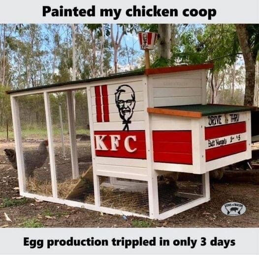 Hönshus målat med KFC-logo och design, med texten "Painted my chicken coop" och "Egg production tripled in only 3 days".