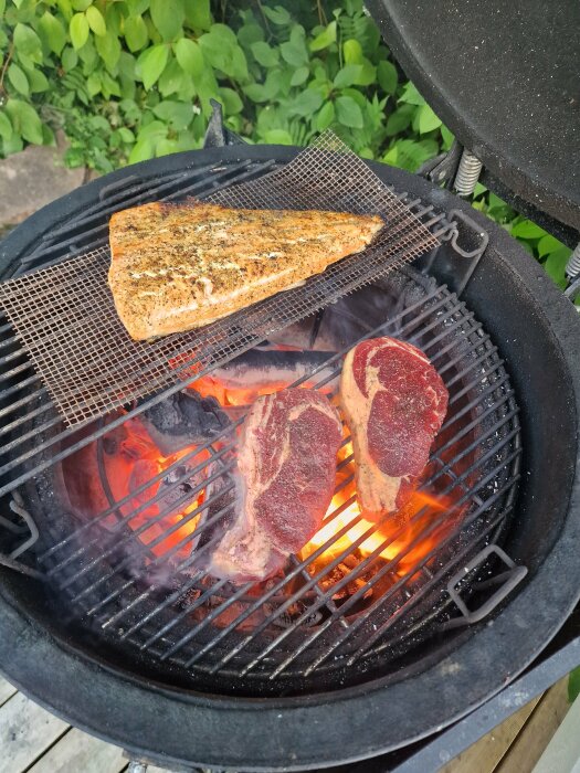 Bitar av lax och ryggbiff som grillas på en öppen grill med glödande kol och eld under, grönska i bakgrunden.