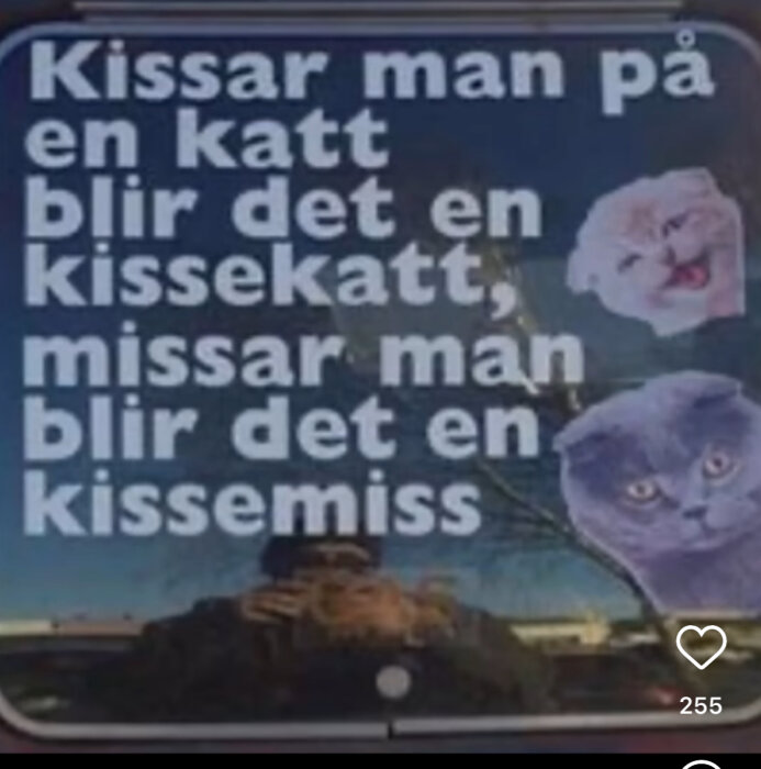 Text på en skylt med budskapet "Kissar man på en katt blir det en kissekatt, missar man blir det en kissemiss", och inkluderar två kattbilder.