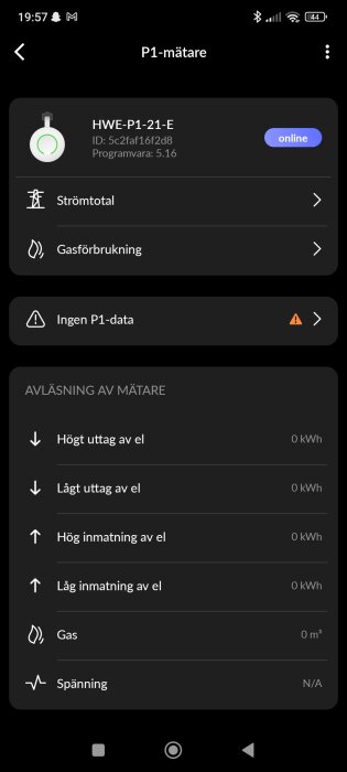 Skärmbild av en P1-mätarapp som visar att mätarens status är online men att ingen P1-data finns tillgänglig.
