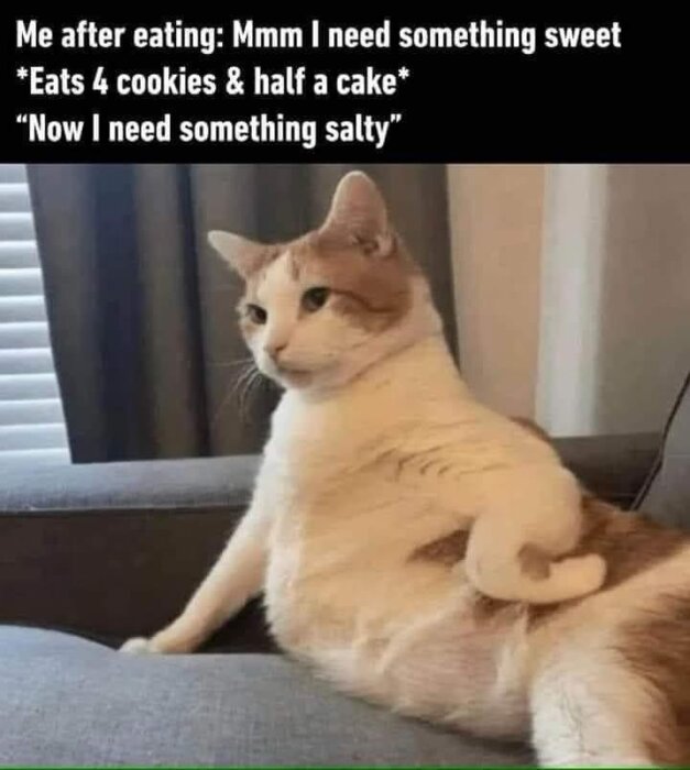 En katt sitter lutad på en soffa med text ovanför som säger: "Me after eating: Mmm I need something sweet *Eats 4 cookies & half a cake* 'Now I need something salty'".