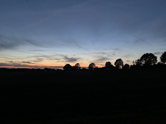 Solnedgång med träd i silhuett mot en himmel som skiftar från ljus till mörkblå.