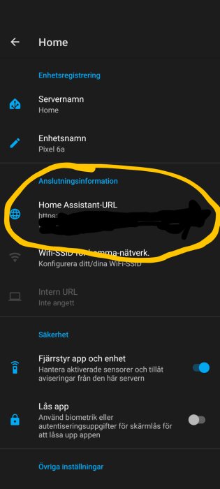 Inställningsskärm för Home Assistant med markerad Home Assistant-URL och olika konfigurationsalternativ som servernamn, enhetsnamn och säkerhetsinställningar.