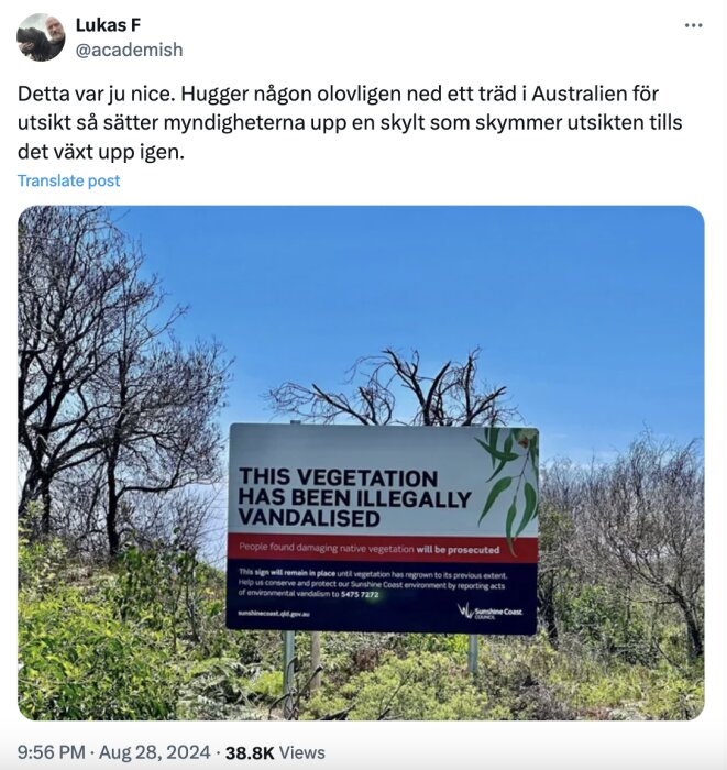 Ett stort skylt i en skog i Australien med texten "THIS VEGETATION HAS BEEN ILLEGALLY VANDALISED" som informerar om olaglig trädfällning och påföljder.