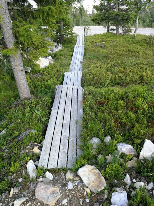 Utsliten träspång genom grön vegetation, omgiven av träd och stenar, leder upp till en stuga från en grusväg.