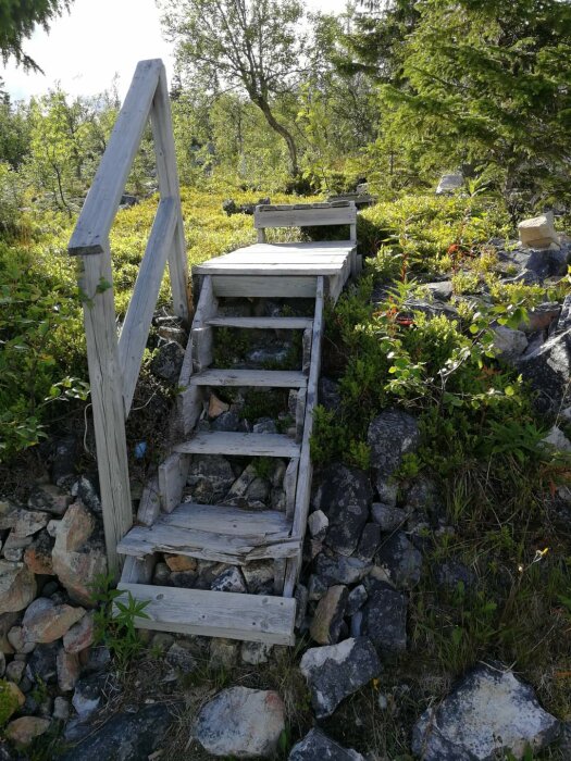 Sliten trappa och plattform av trä som leder upp till en fjällstuga, omgiven av vegetation och stenar.