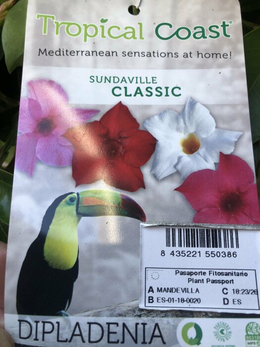 Bild av en etikett från en växt med texten "Tropical Coast Sundaville Classic". Etiketten har bilder av blommor och en tukan.