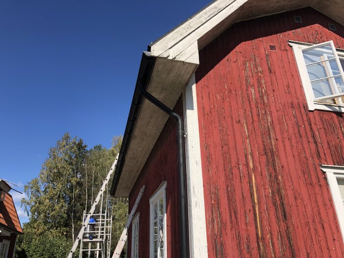 Rött hus med bred vitmålad takfot och vitmålade knutbrädor, en stege lutad mot taket och trädfylld bakgrund under en klarblå himmel.