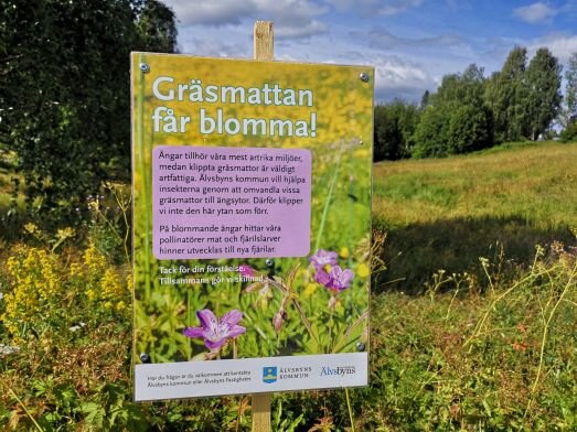 Skylt i en blomstrande äng med texten "Gräsmattan får blomma!" och förklarar fördelar med att låta gräsmattor blomma för pollinatörer och biologisk mångfald.