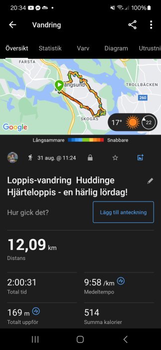 Skärmbild från en Garmin Phoenix-enhet som visar en vandring på 12,09 km i Huddinge med detaljer som tid, medeltempo, kaloriåtgång och höjdmeter.