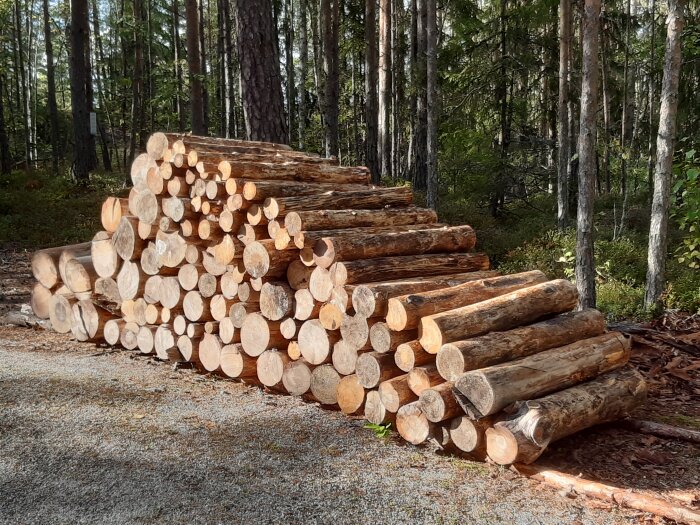 En hög med barkade stockar kapade i en meters längd, staplade vid vägkant i en skog.