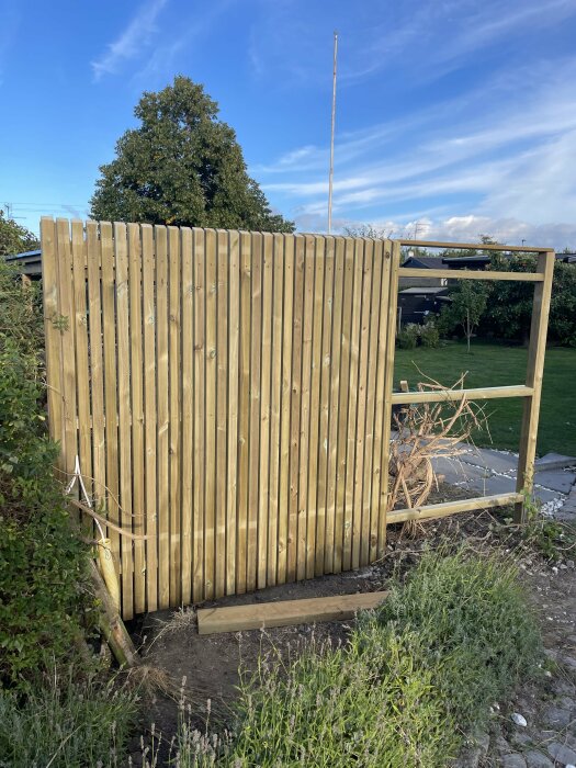 En delvis påbyggt trästaket i en trädgård med en stomme som saknar brädor på högra sidan och vegetation i förgrunden under en blå himmel.