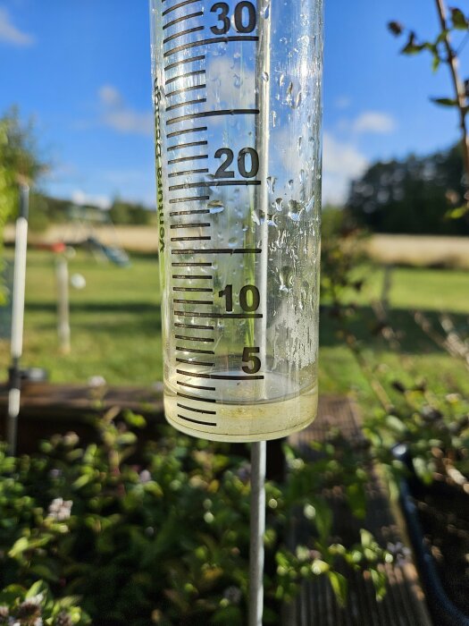 Närbild på en genomskinlig regnmätare utemiljö, med lätt regnmängd (ungefär 7-8 mm) på en solig dag.