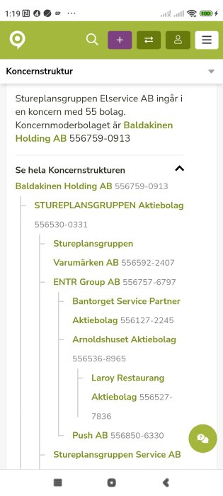 Mobilskärm visar koncernstruktur för Stureplansgruppen Elservice AB med Baldakinen Holding AB som moderbolag och flera dotterbolag listade nedanför.