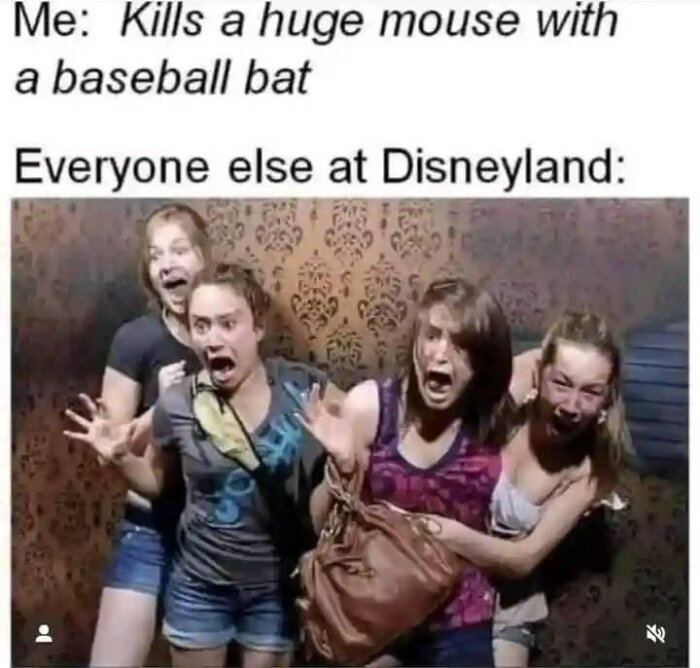 Fyra personer ser chockade och livrädda ut medan de reagerar på något utanför bild, med texten "Me: Kills a huge mouse with a baseball bat Everyone else at Disneyland: