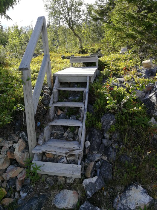 Sliten trätrappa i naturmiljö med räcke på vänster sida. Trappan står på stenigt underlag och leder upp till en spång mellan buskar och träd.