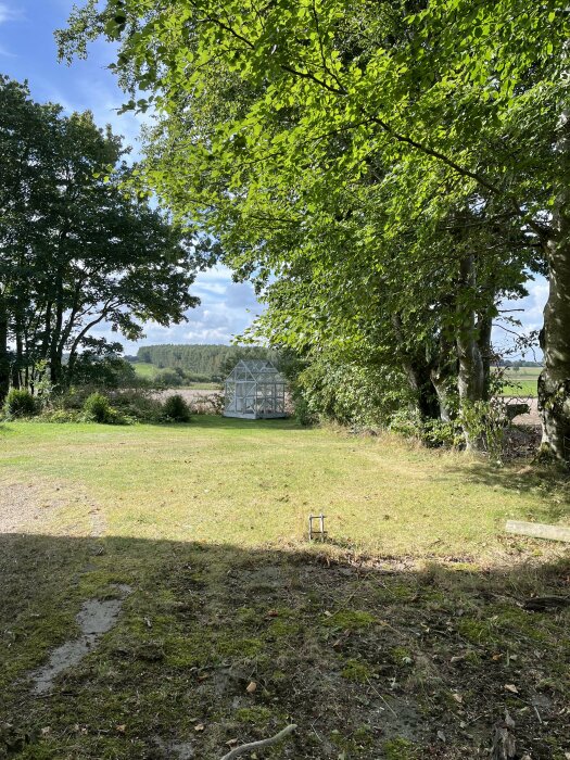 Solfylld trädgård med grönt gräs, omgiven av träd med ett vitt växthus i bakgrunden under en blå himmel.