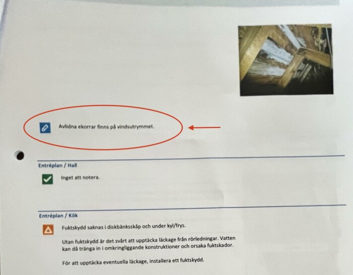 Besiktningsprotokoll med en notering om avlidna ekorrar på vinden samt noteringar om fuktskyddsproblem i köket och inga anmärkningar i hallen.