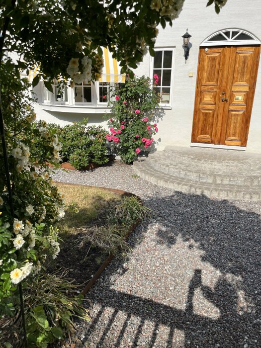 Vit putsfasad på hus med bruna träportar, stenlagd trappa och grusgång, gröna buskar och blommande rosor. Soligt väder och skuggor faller över marken.