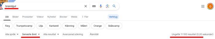 Skärmbild av ett Google-sökresultat för ordet "brandgul" med drygt 11 000 resultat och filtreringsalternativ som "Senaste året" och "Avancerad sökning".