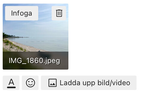 Förhandsvisning av uppladdad strandbild i JPEG-format på ett diskussionsforum, ursprungligen från en HEIF-fil på iPadOS i Safari.