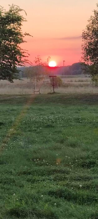 Solnedgång över en äng med grönska, träd och en stolpe i mitten, himmeln är rosa och orange medan solen går ner vid horisonten.