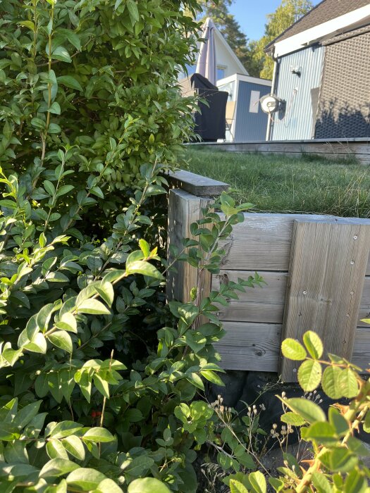 Tät häck vid ett plank med utsikt mot en altan med trädgårdsmöbler och ett hus i bakgrunden.