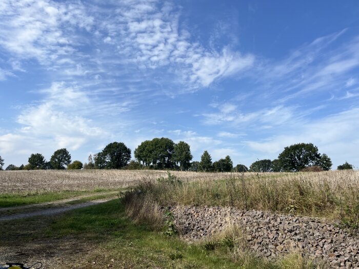 Utsikt över ett öppet landskap med en stenmur i förgrunden, gräsfält och träd i bakgrunden under en klarblå himmel med några vita moln.