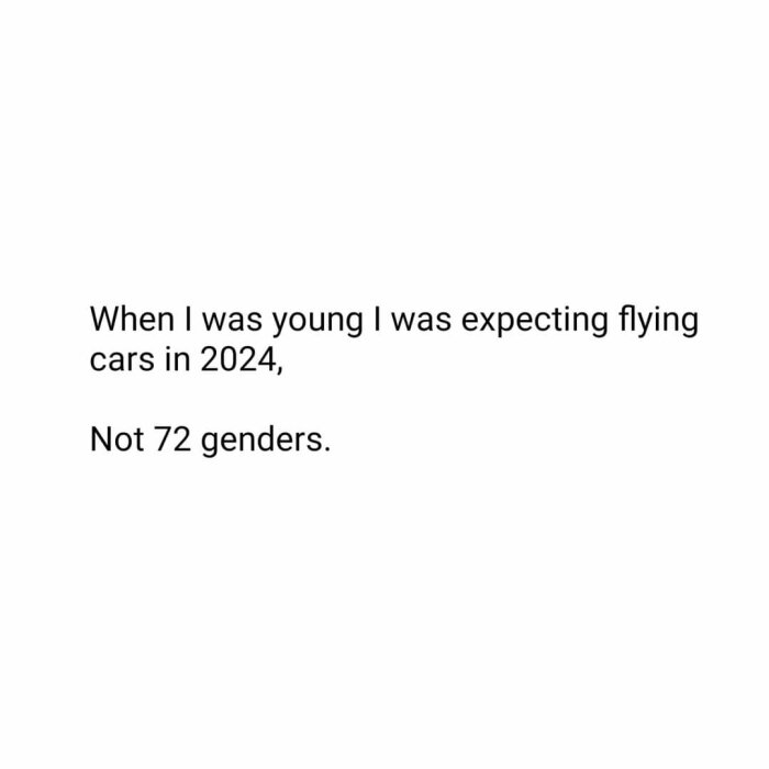 Textbild med texten: "When I was young I was expecting flying cars in 2024, not 72 genders.